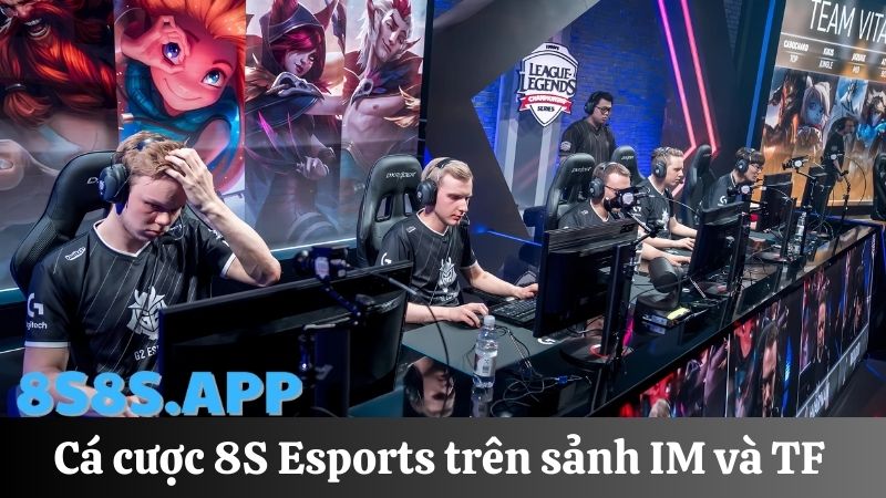 8S Esports sảnh TF và IM