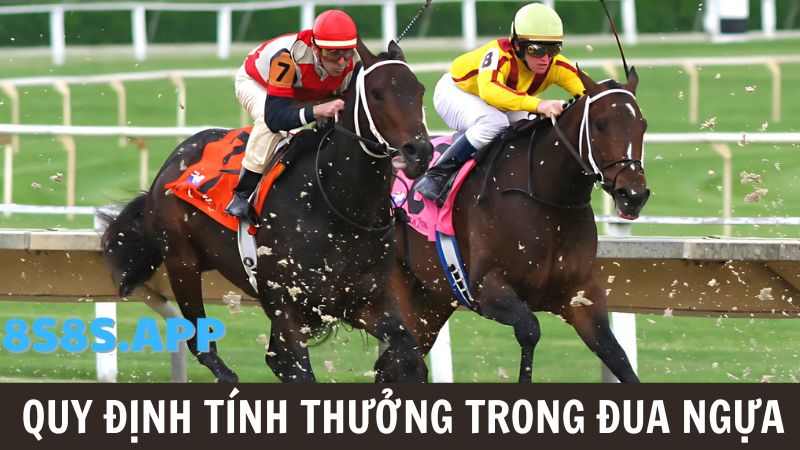 Luật trả thưởng 8S đua ngựa 