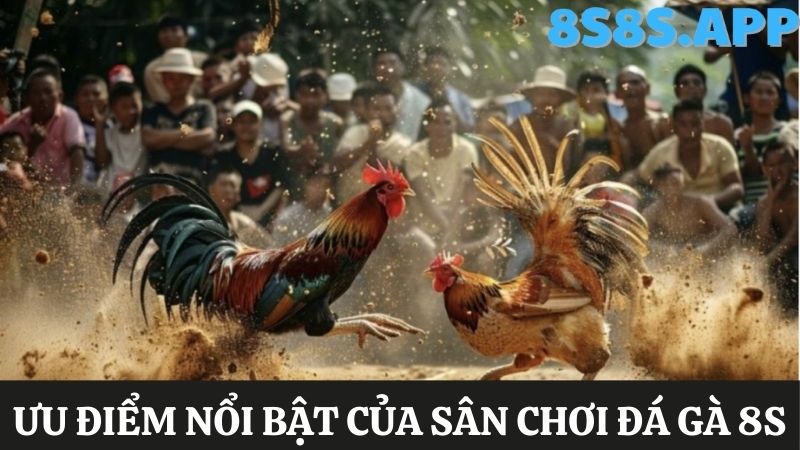 Sức hút 8S Đá gà