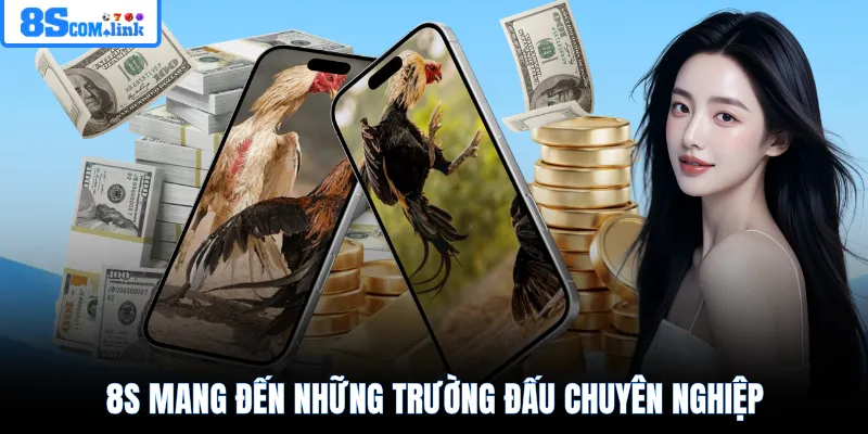 8S mang đến những trường đấu chuyên nghiệp