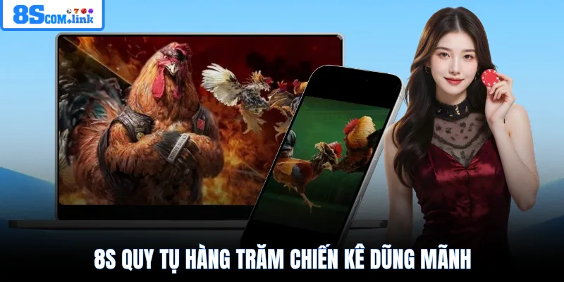 8S quy tụ hàng trăm chiến kê dũng mãnh