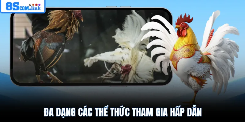 Đa dạng các thể thức tham gia hấp dẫn