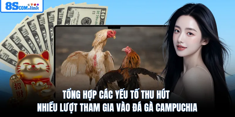 Tổng hợp các yếu tố thu hút nhiều lượt tham gia vào đá gà Campuchia